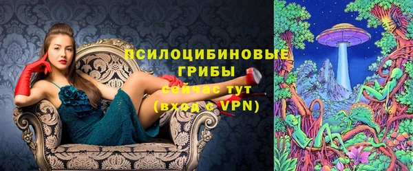 стафф Новодвинск