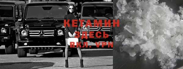 стафф Новодвинск