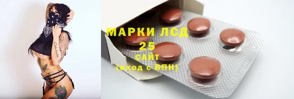 стафф Новодвинск