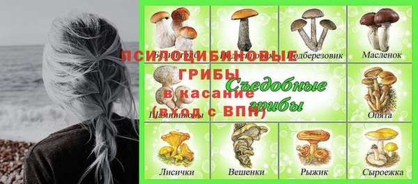 apvp Новозыбков