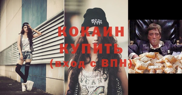 apvp Новозыбков