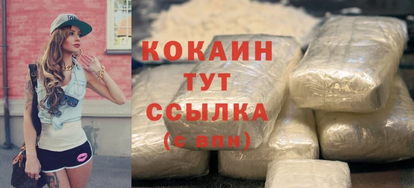 стафф Новодвинск